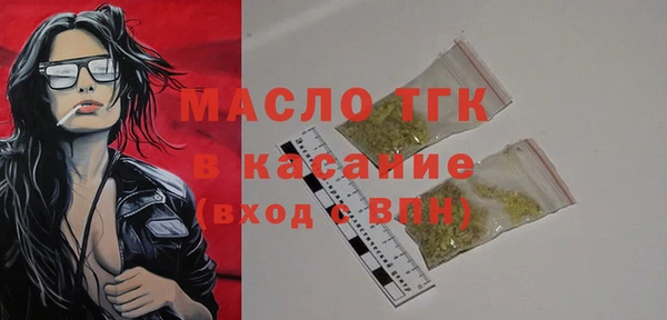 молекула духа Вяземский