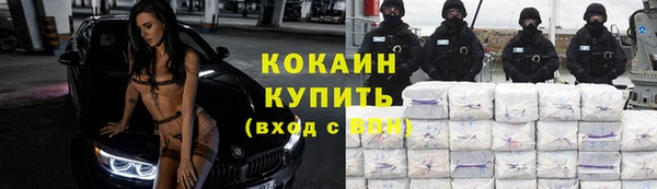 стаф Вязники