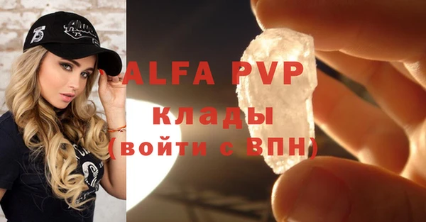 стаф Вязники