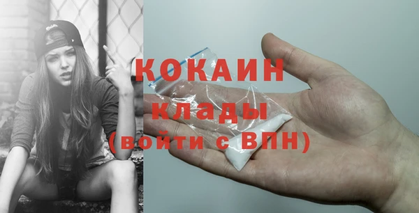 молекула духа Вяземский