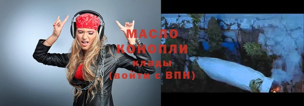 молекула духа Вяземский