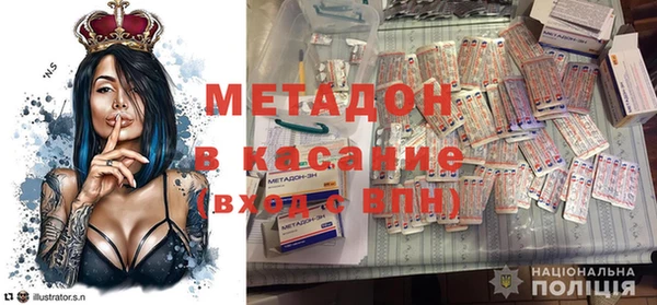 молекула духа Вяземский