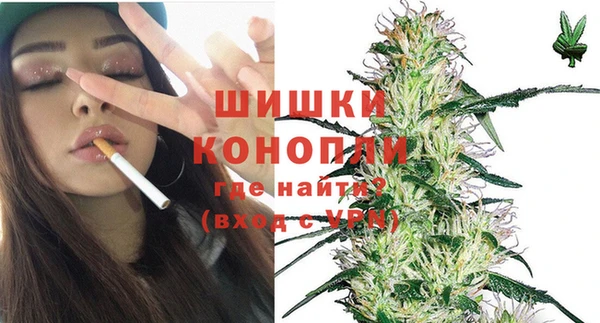 молекула духа Вяземский