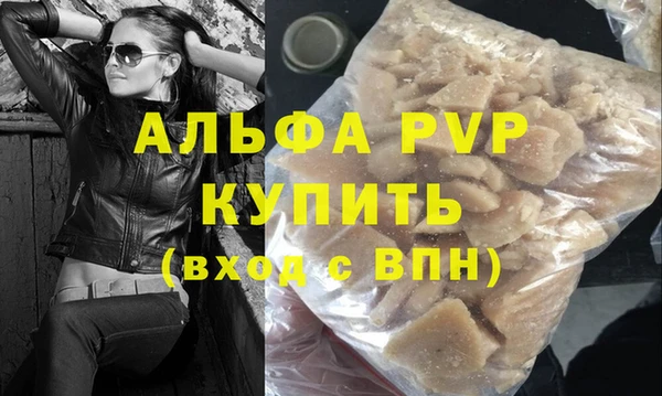 молекула духа Вяземский