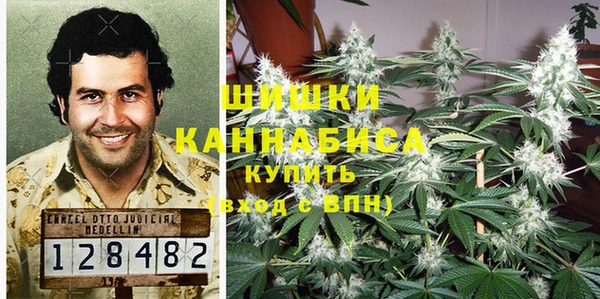 стаф Вязники