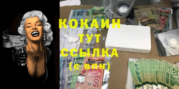 стаф Вязники