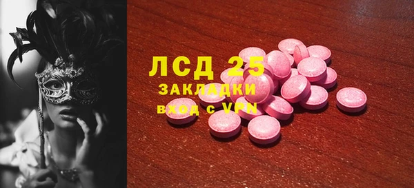 молекула духа Вяземский