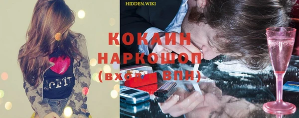 молекула духа Вяземский