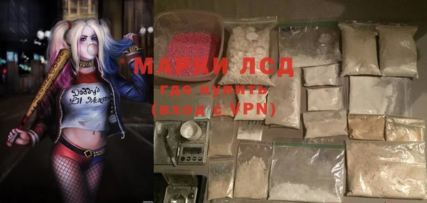 молекула духа Вяземский