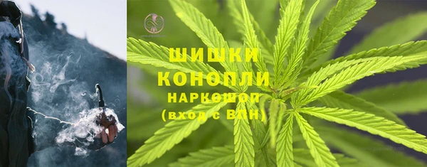 молекула духа Вяземский