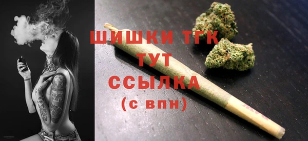 молекула духа Вяземский