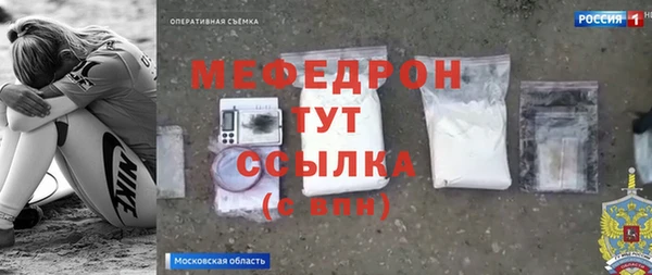 молекула духа Вяземский